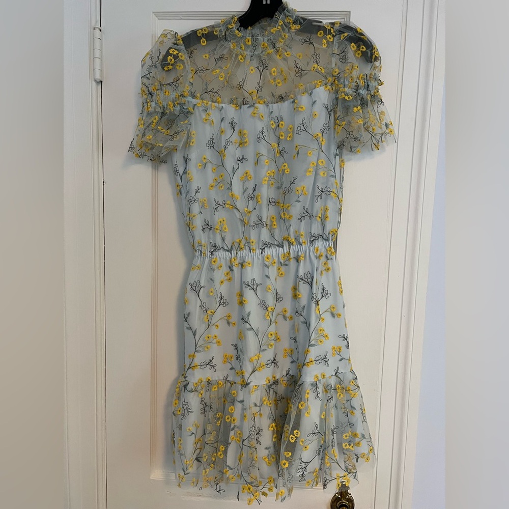 Monique Lhuillier Sheer Dress with Yellow Floral Embroidery
